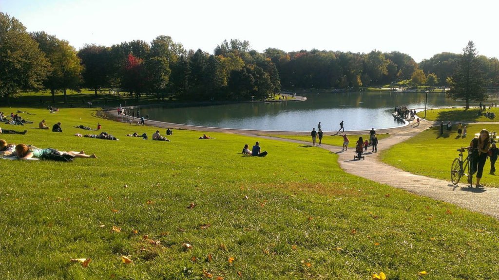 Les plus belles randonnées pédestres à faire à Montréal
