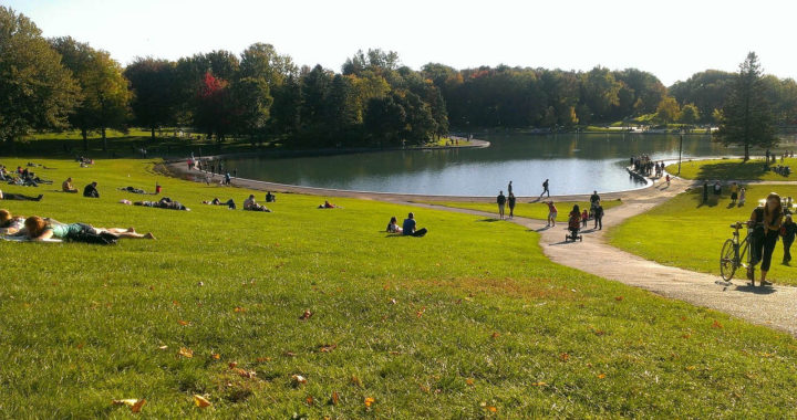 Les plus belles randonnées pédestres à faire à Montréal