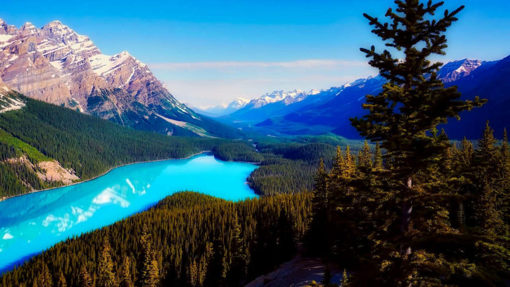 Vous allez au Canada dans un avenir proche? Voici quelques conseils de voyage.